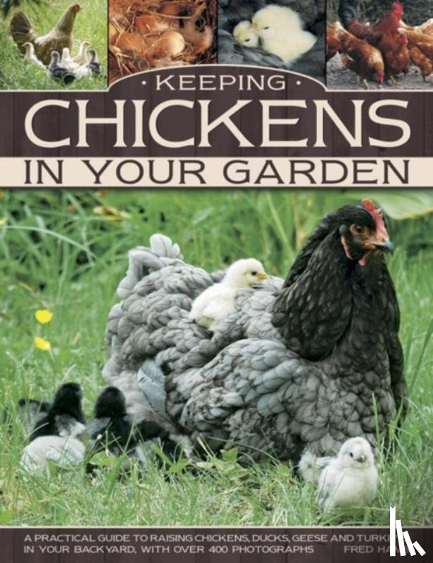Hams Fred - Keeping Chickens in Your Garden
