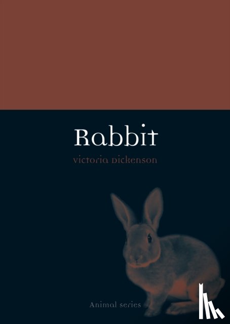 Dickenson, Victoria - Rabbit