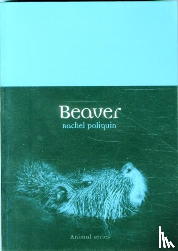 Poliquin, Rachel - Beaver