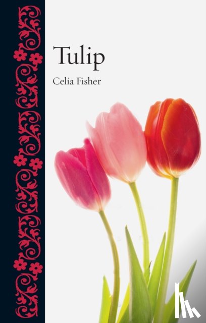 Fisher, Celia - Tulip
