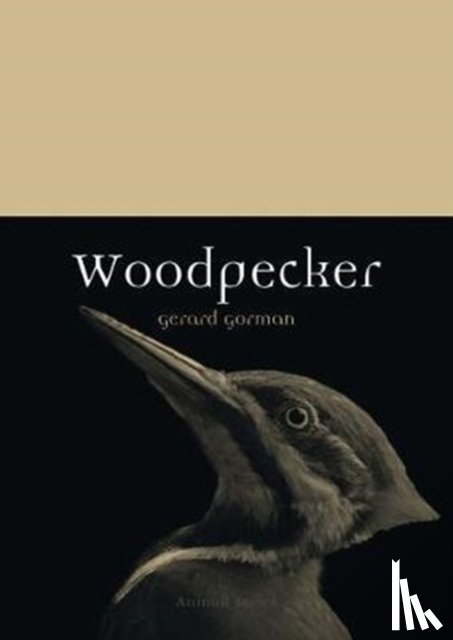 Gorman, Gerard - Woodpecker