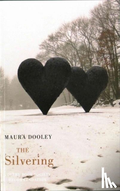 Dooley, Maura - The Silvering
