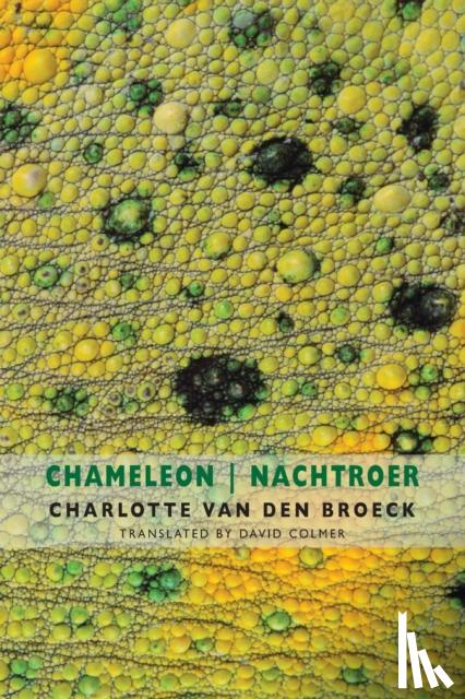 Van den Broeck, Charlotte - Chameleon | Nachtroer