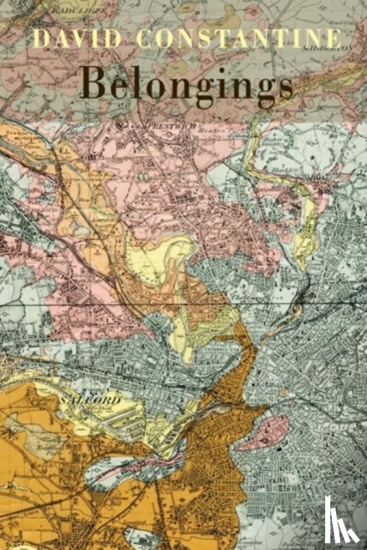 Constantine, David J. - Belongings