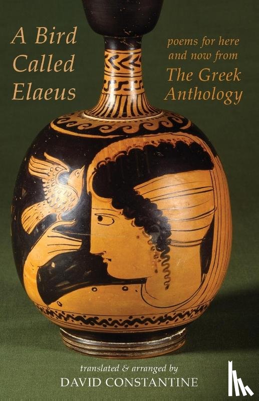 Constantine, David J. - A Bird Called Elaeus