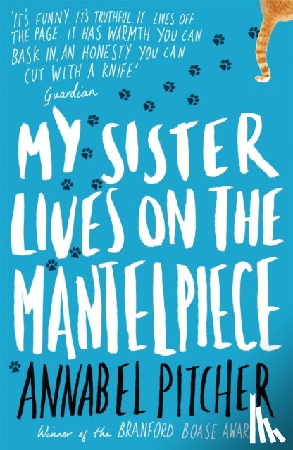Pitcher, Annabel - My Sister Lives on the Mantelpiece