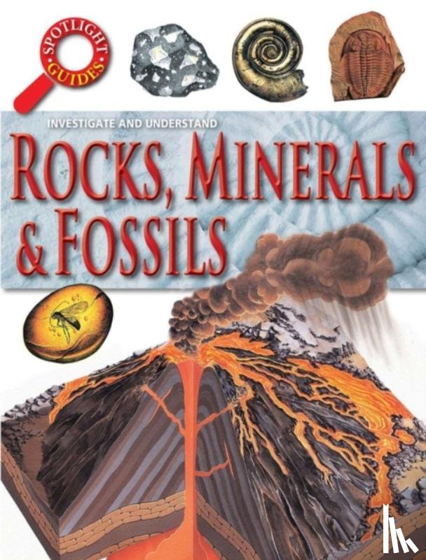 Curtis, Neil - Rocks Minerals and Fossils