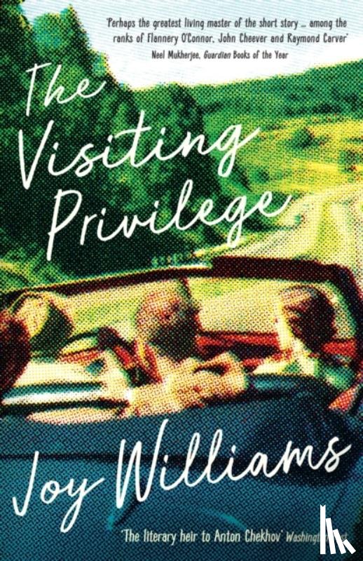 Williams, Joy - The Visiting Privilege