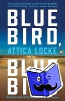 Locke, Attica - Bluebird, Bluebird