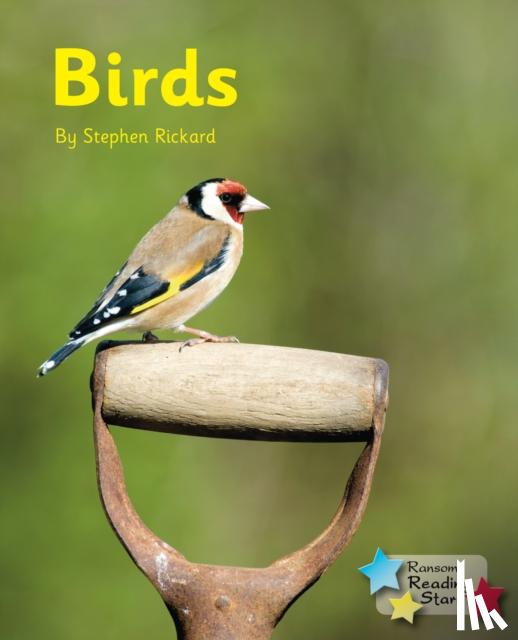Stephen Rickard - Birds