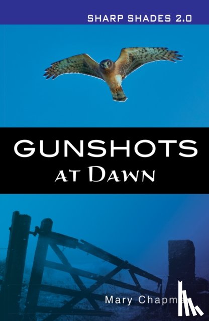 Chapman Mary - Gunshots At Dawn (Sharp Shades)