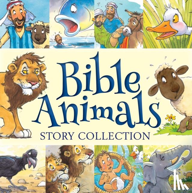 Juliet David - Bible Animals Story Collection