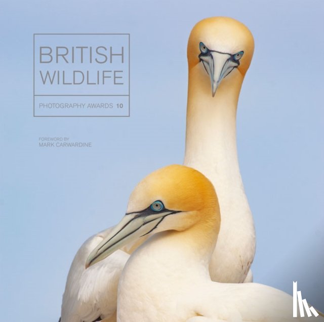 Gowan, Maggie - British Wildlife Photography Awards 10