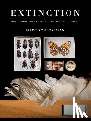 Schlossman, M - Extinction