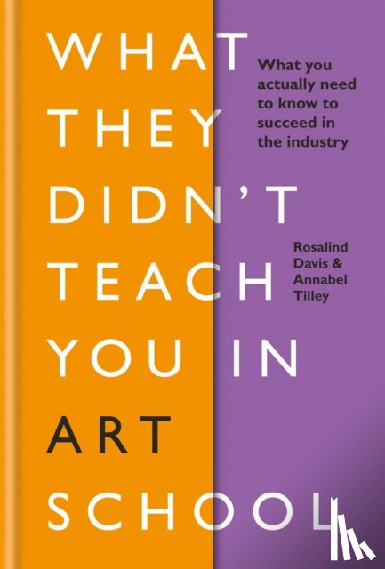 Davis, Rosalind, Tilley, Annabel - What They Didn't Teach You in Art School