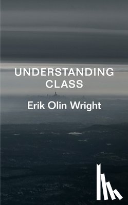 Wright, Erik Olin - Understanding Class