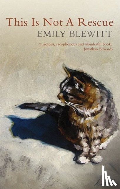 Blewitt, Emily - This Is Not a Rescue
