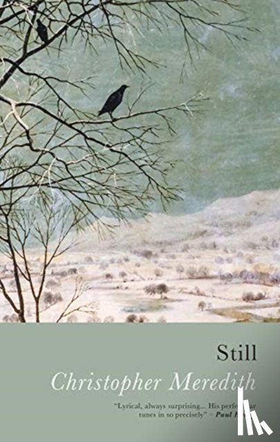 Meredith, Christopher - Still