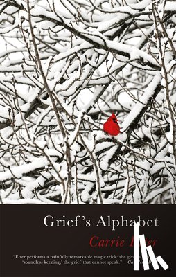 Etter, Carrie - Grief’s Alphabet