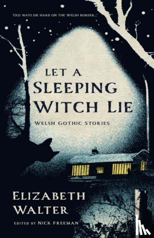 Walter, Elizabeth - Let a Sleeping Witch Lie