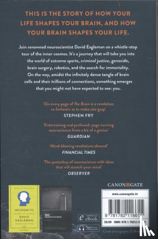 Eagleman, David - The Brain