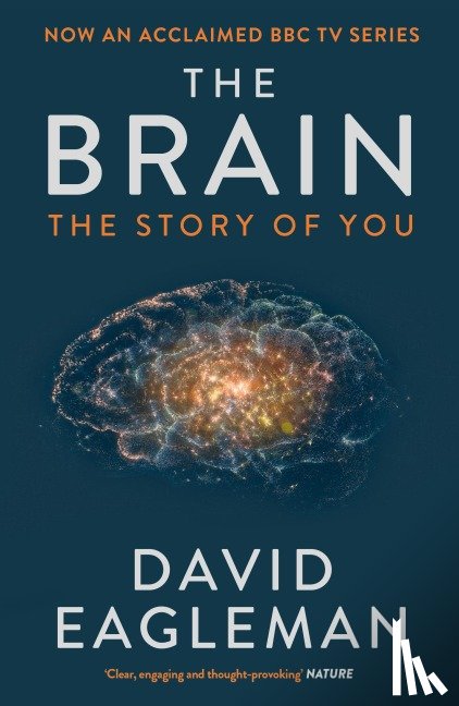 Eagleman, David - The Brain