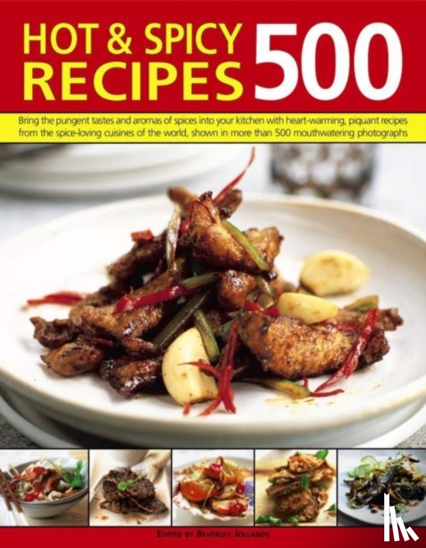 Jollands Beverley - 500 Hot & Spicy Recipes
