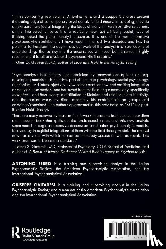 Civitarese, Giuseppe, Ferro, Antonino - The Analytic Field and its Transformations