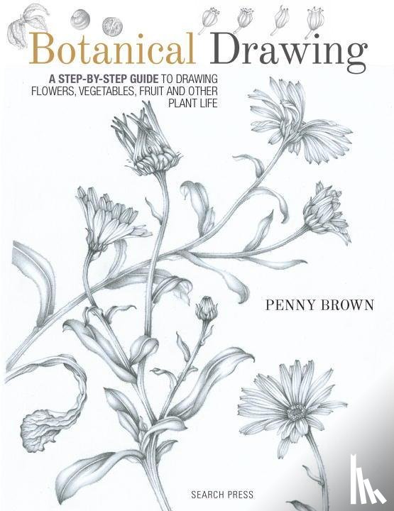 Brown, Penny - Botanical Drawing