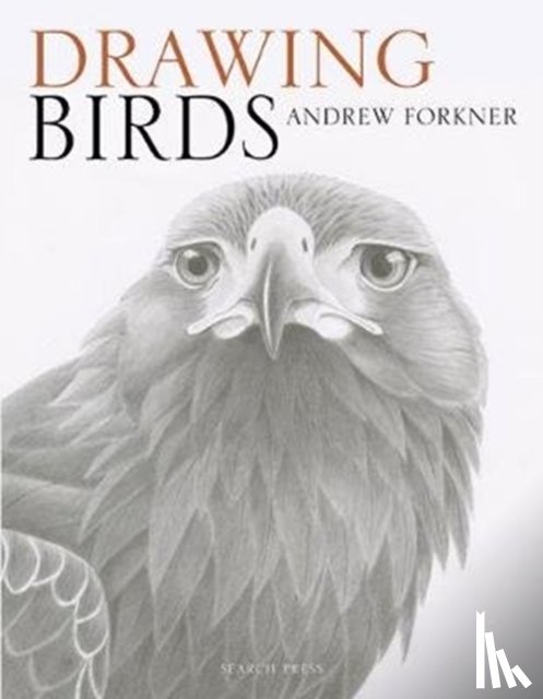 Forkner, Andrew - Drawing Birds