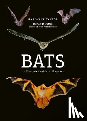 Taylor, Marianne - Bats