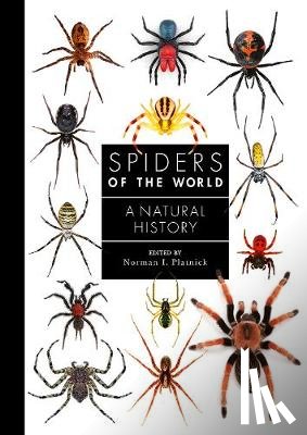 Platnick, Norman - Spiders of the World