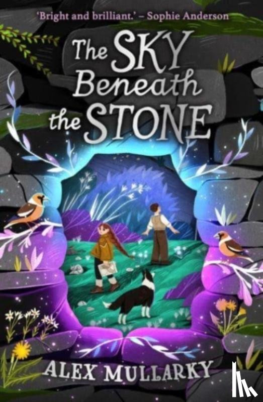 Mullarky, Alex - The Sky Beneath the Stone