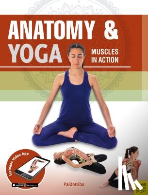 Coll, Mireia Patino - Anatomy & Yoga