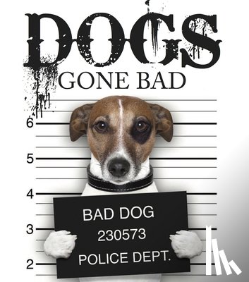 Russell, Jack - Dogs Gone Bad