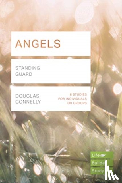 Connelly, Douglas - Angels (Lifebuilder Study Guides)