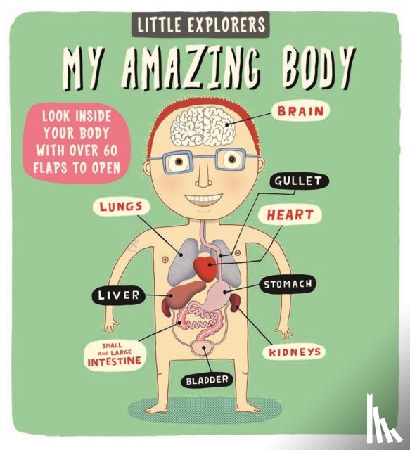 Martin, Ruth - Little Explorers: My Amazing Body
