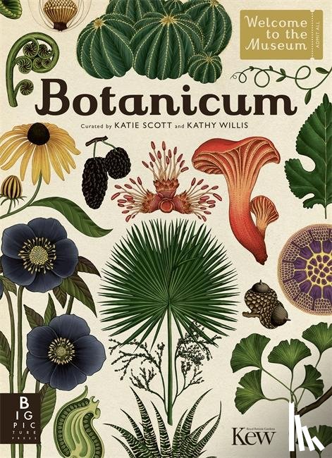 Willis, Kathy - Botanicum
