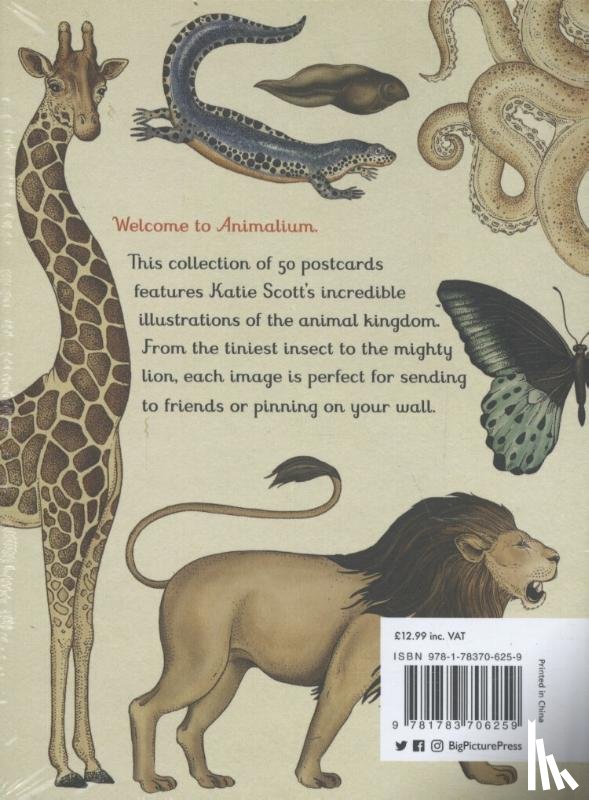 Broom, Jenny - Animalium Postcards