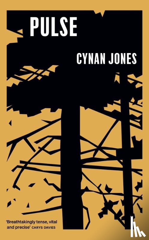 Jones, Cynan - Pulse