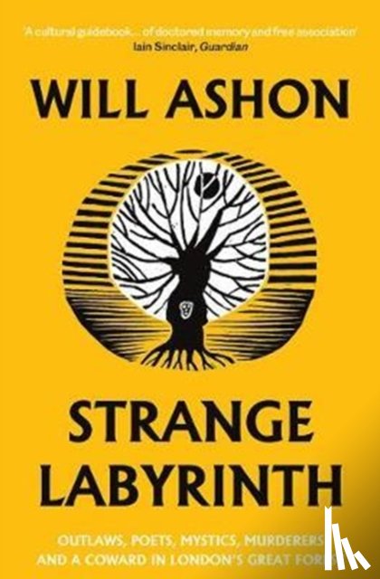 Ashon, Will - Strange Labyrinth