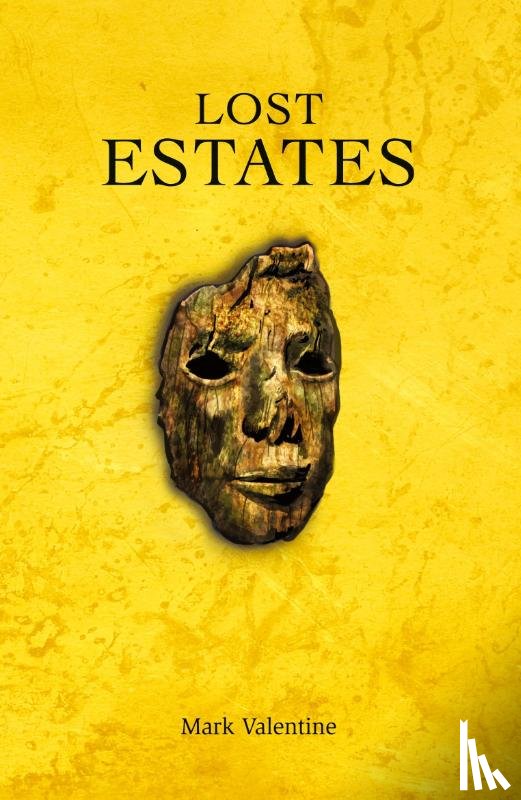 Valentine, Mark - Lost Estates