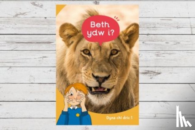 Jones, Eirian Lloyd, Karadog, Aneirin - Dyna Chi Dric: Beth Ydw I?