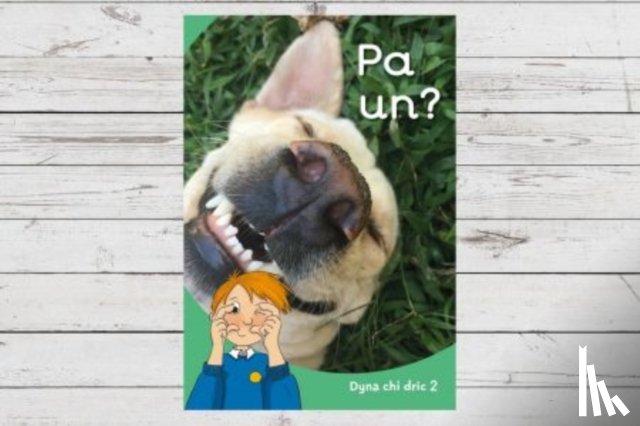Jones, Eirian Lloyd, Karadog, Aneirin - Dyna Chi Dric: Pa Un?