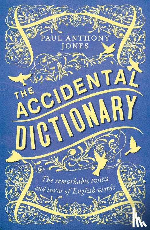 Jones, Paul Anthony - The Accidental Dictionary