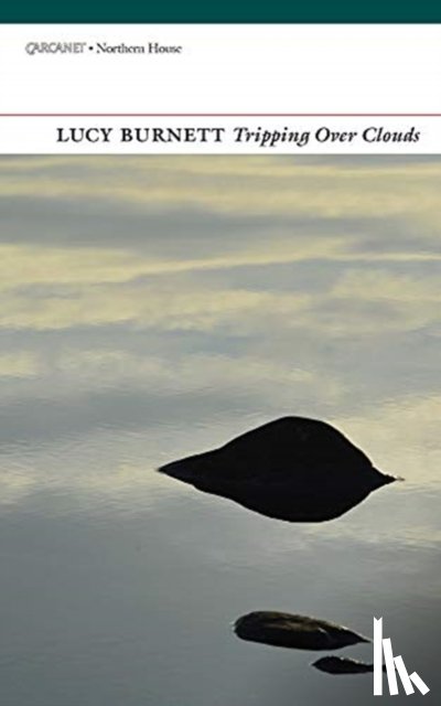 Burnett, Lucy - Tripping Over Clouds