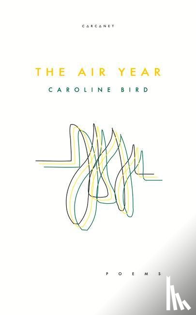 Bird, Caroline - The Air Year