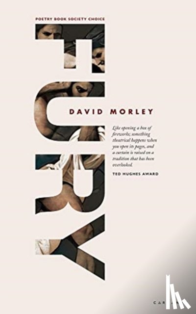 Morley, David - FURY