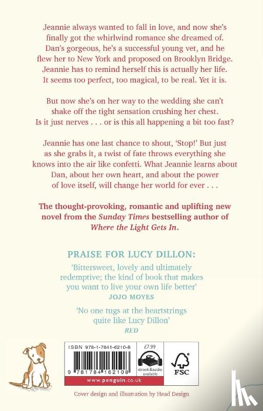 Dillon, Lucy - Unexpected Lessons in Love