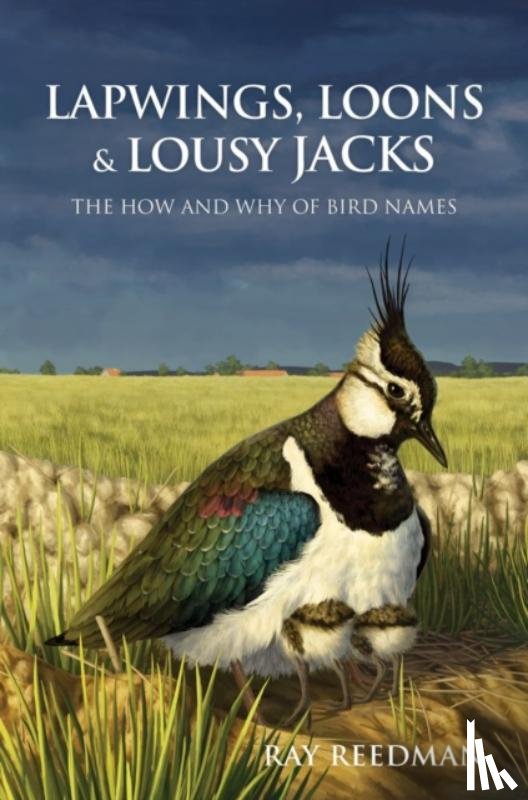 Reedman, Ray - Lapwings, Loons and Lousy Jacks